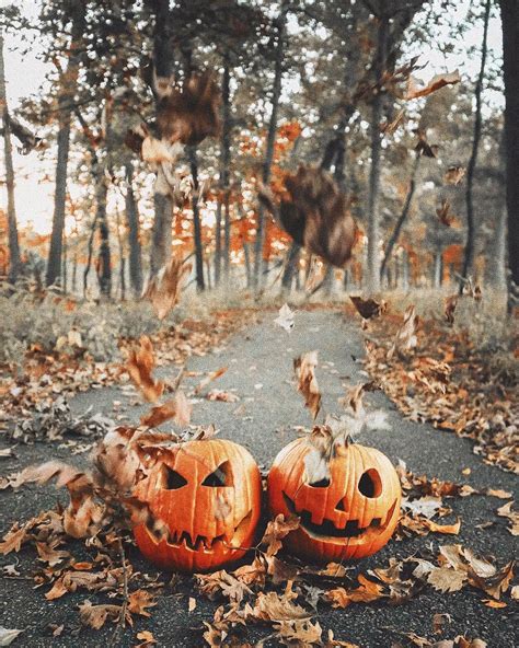 autumn halloween vibes|trick or treat vibes.